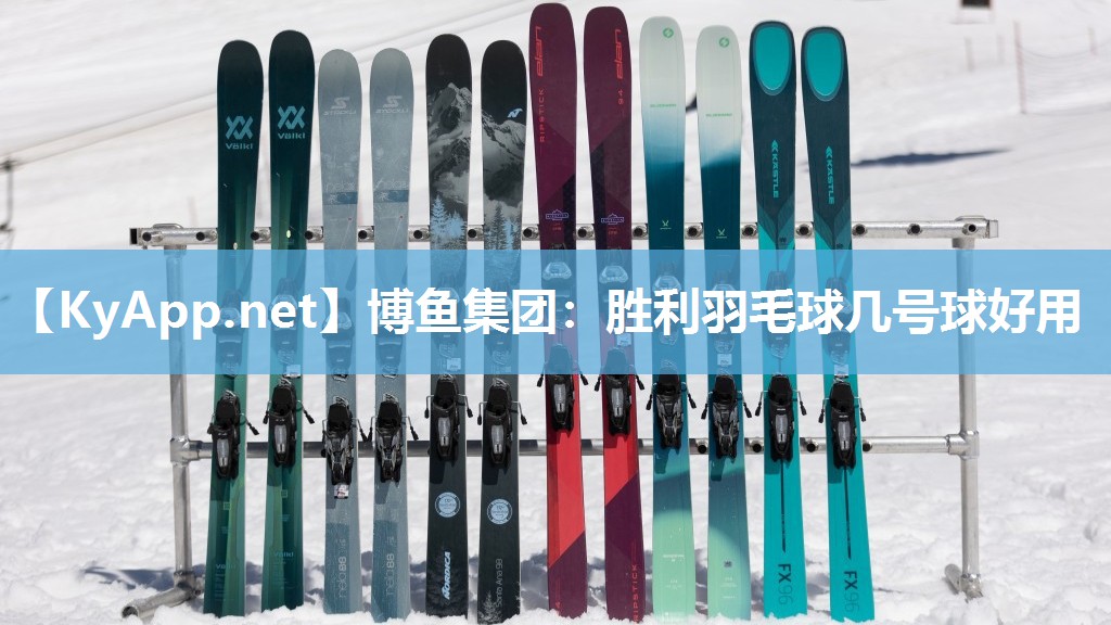 胜利羽毛球几号球好用