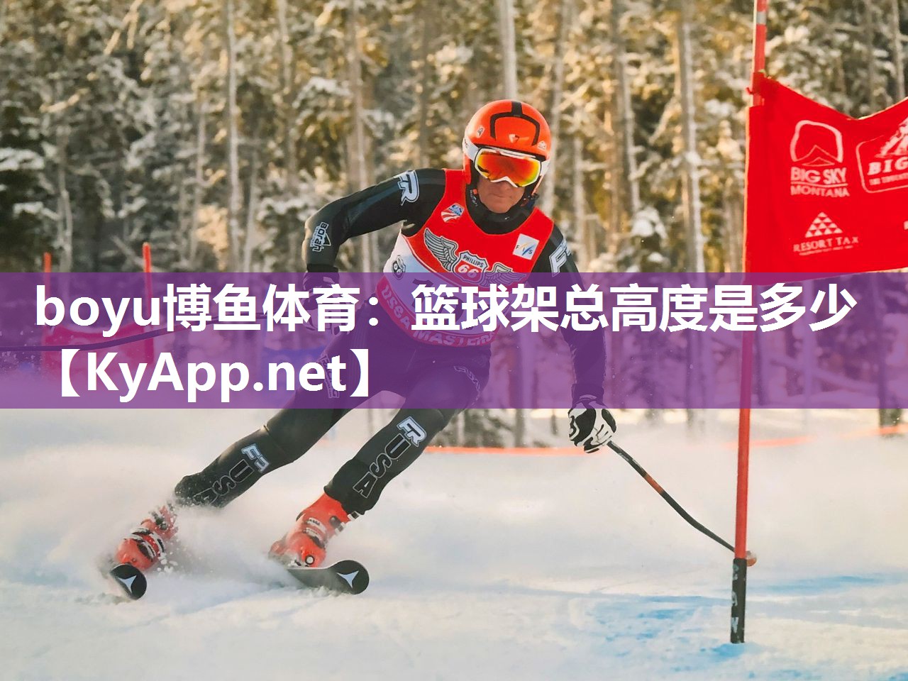 篮球架总高度是多少