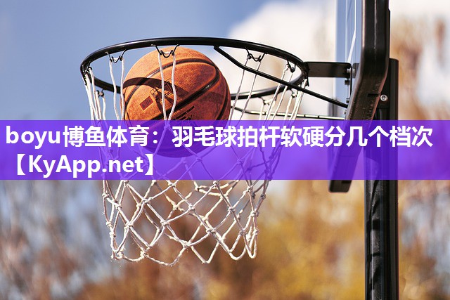 羽毛球拍杆软硬分几个档次