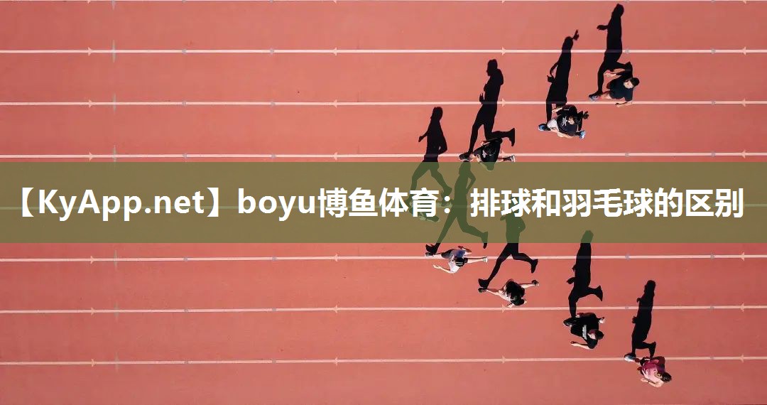 排球和羽毛球的区别