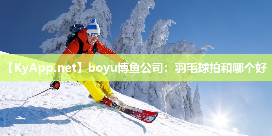 羽毛球拍和哪个好